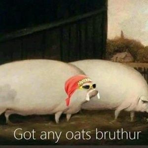 Meet your Posher, Waylon